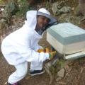 Les premiers pas de ma fille Lana en apiculture