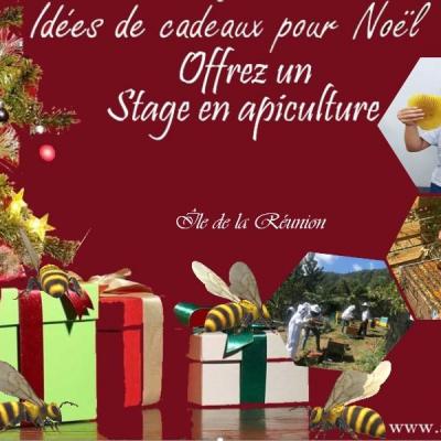 Pub noel 2022